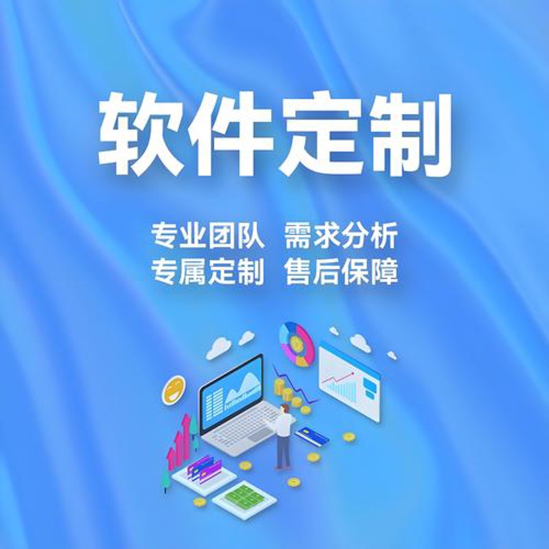 定制软件助力企业插上腾飞翅膀